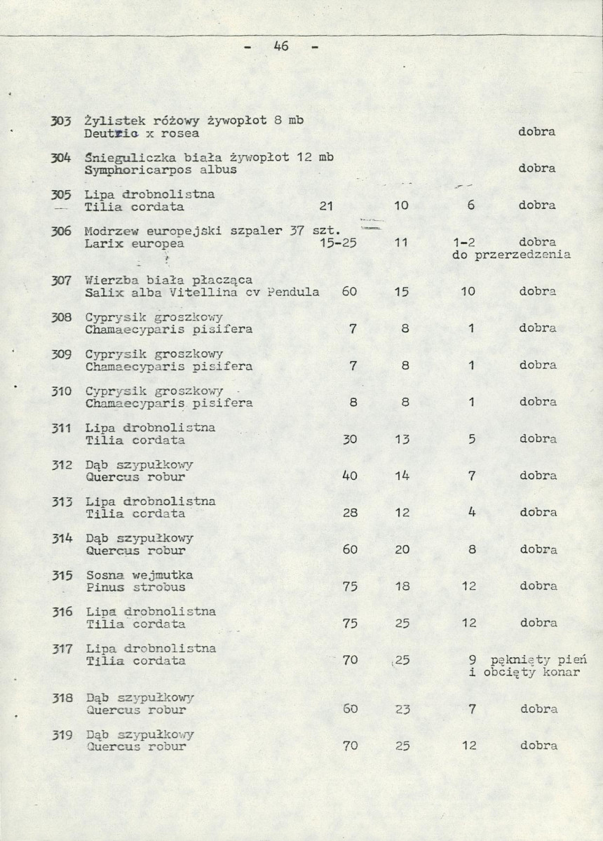 EP - Ewidencja parkowa, skan nr 51