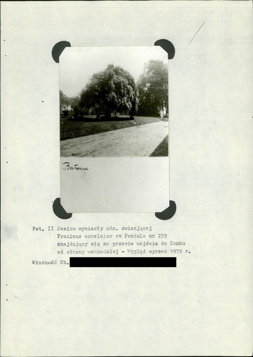 EP - Ewidencja parkowa, skan nr 64