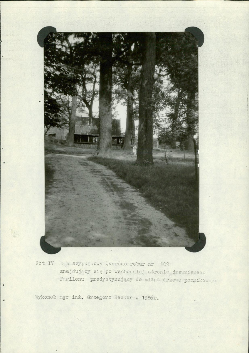 EP - Ewidencja parkowa, skan nr 66