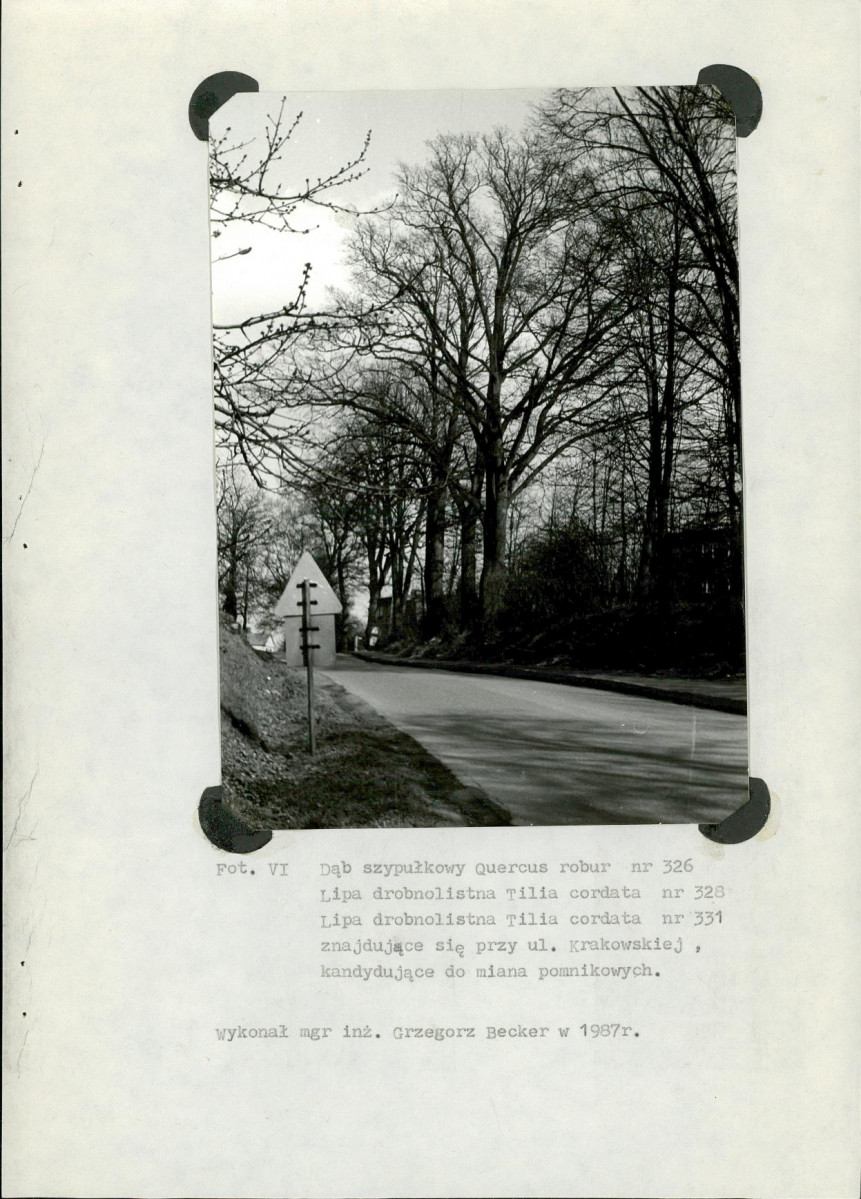 EP - Ewidencja parkowa, skan nr 68