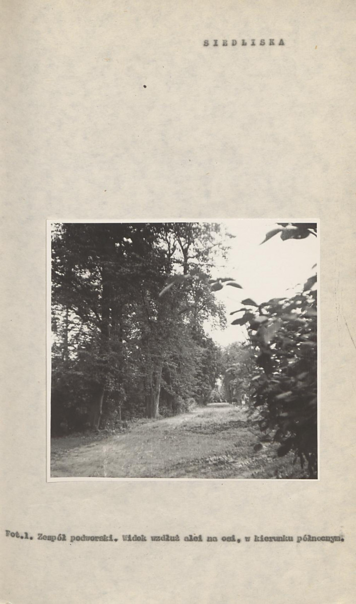 Ewidencja parkowa, skan nr 29