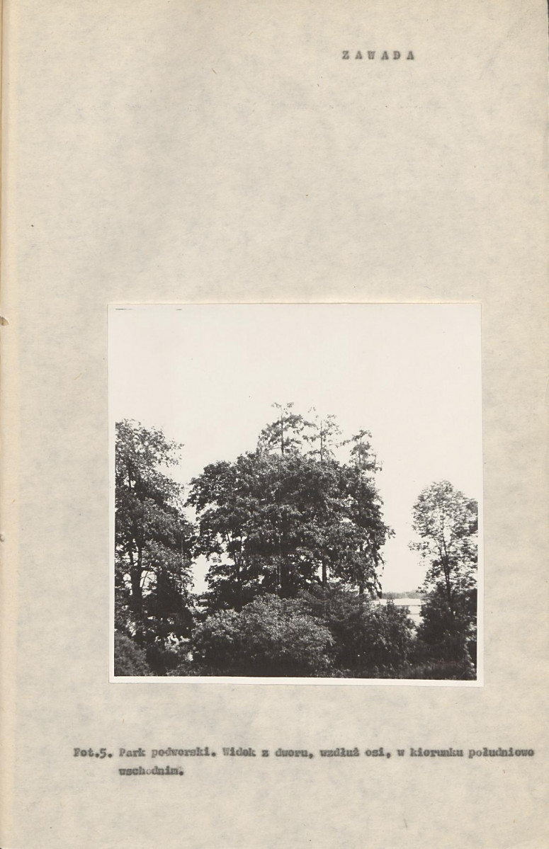 Ewidencja parkowa, skan nr 15