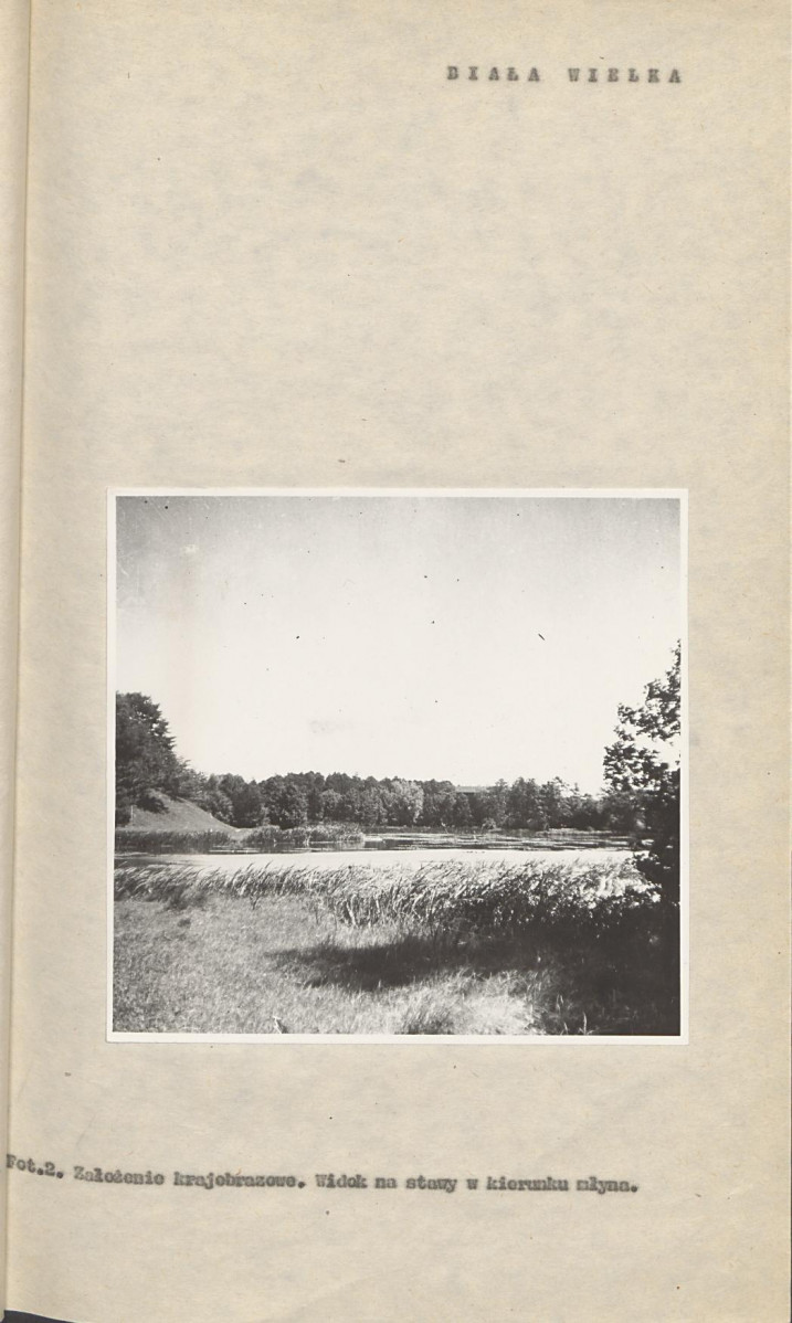 Ewidencja parkowa, skan nr 25