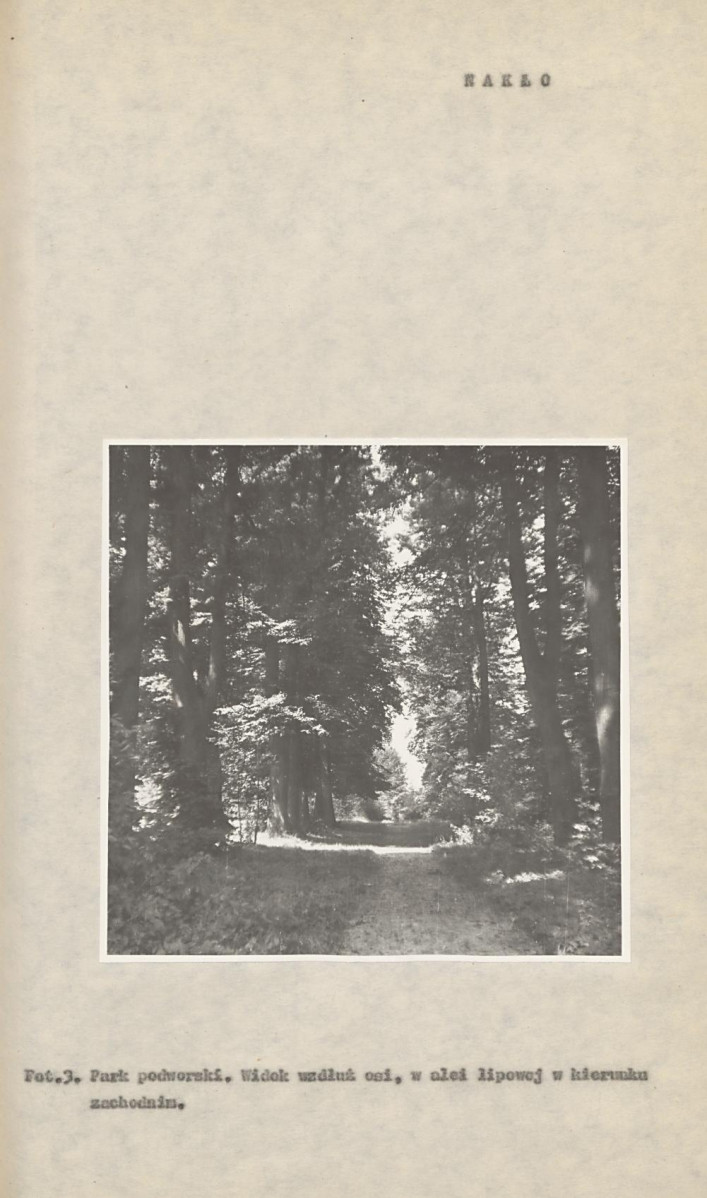 Ewidencja parkowa, skan nr 17