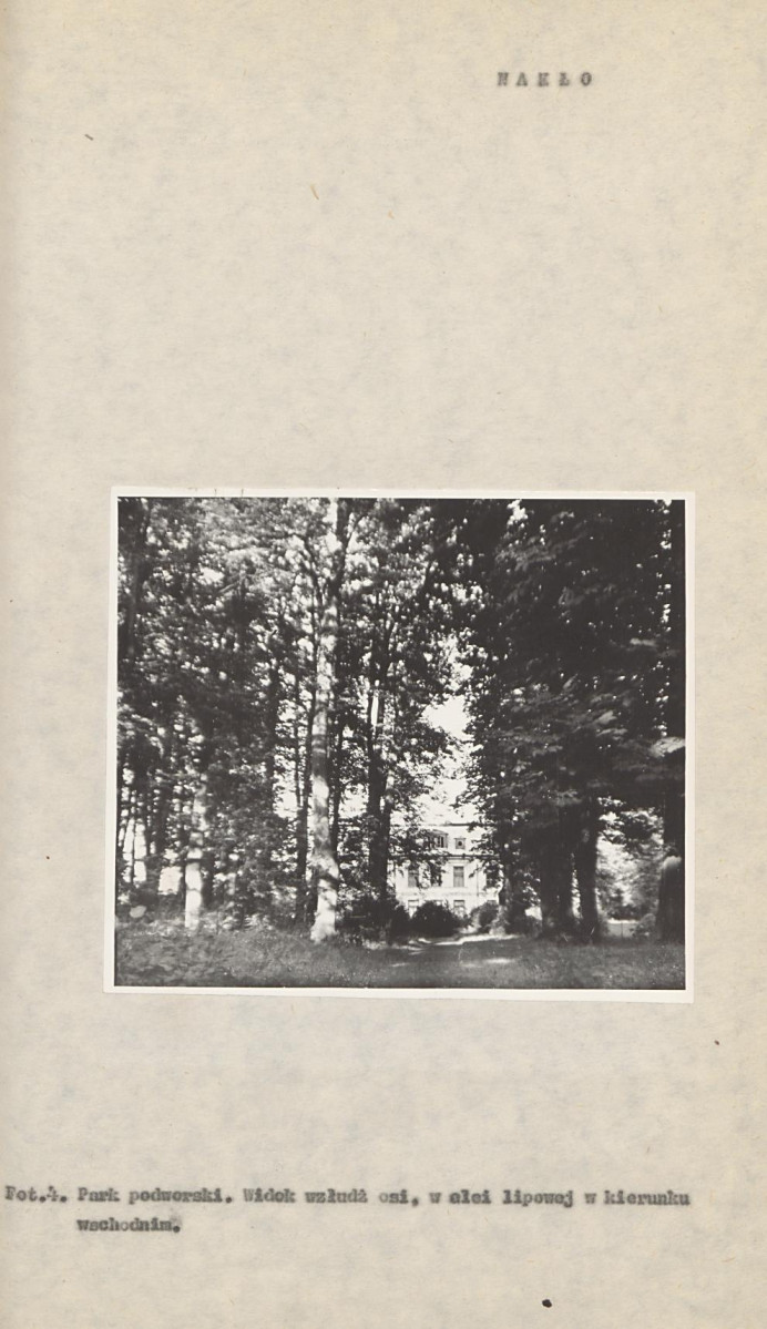 Ewidencja parkowa, skan nr 18