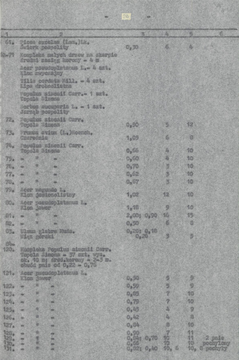 Ewidencja parkowa, skan nr 27