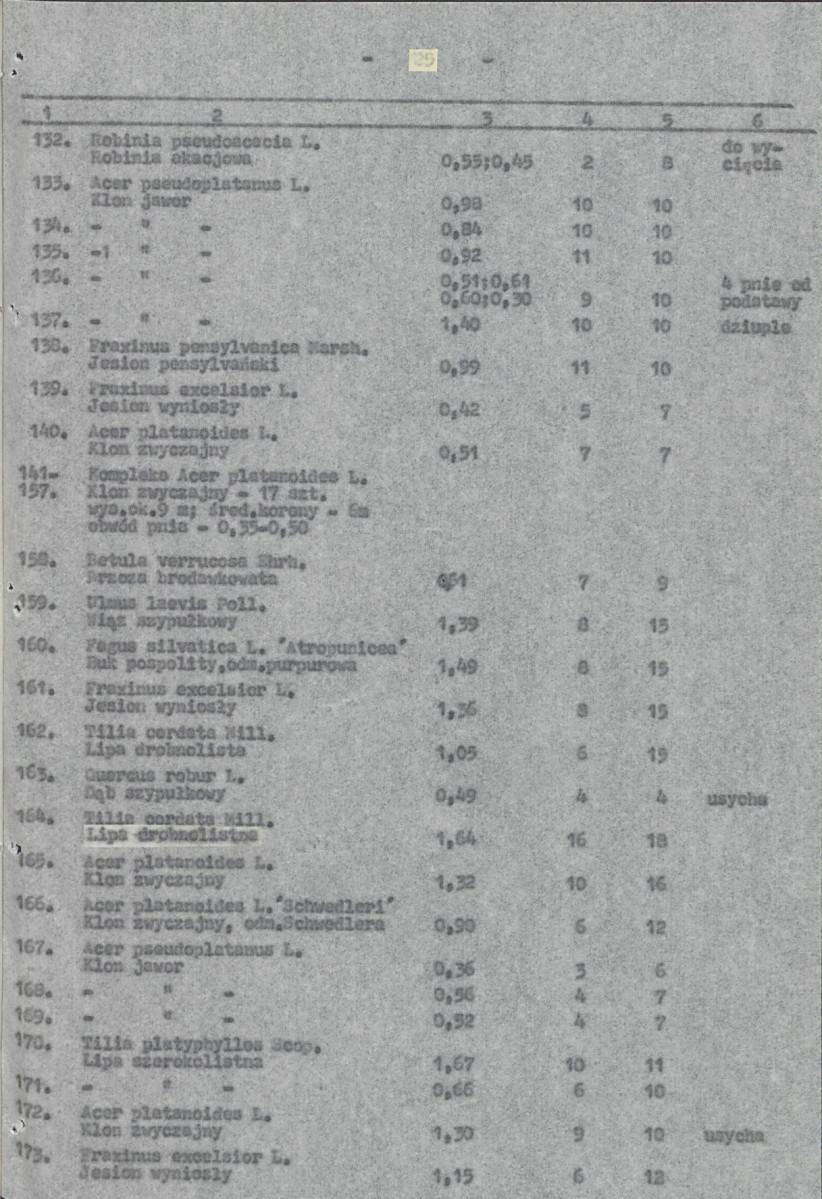 Ewidencja parkowa, skan nr 28