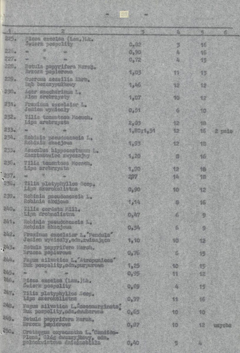 Ewidencja parkowa, skan nr 31
