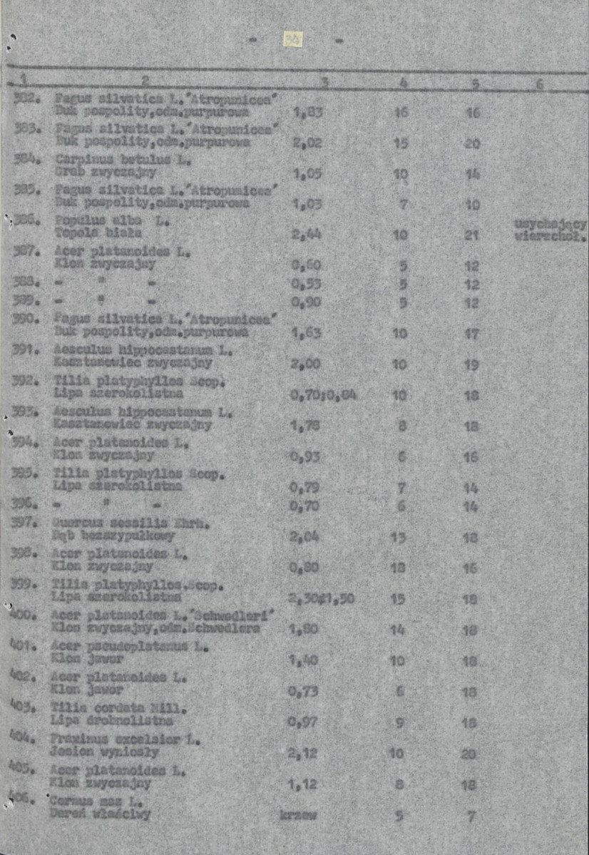 Ewidencja parkowa, skan nr 37