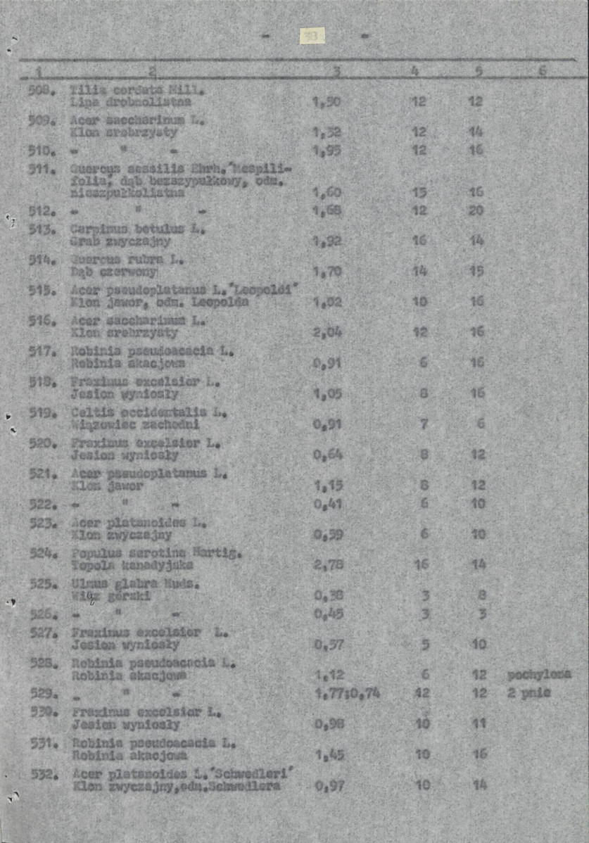 Ewidencja parkowa, skan nr 41