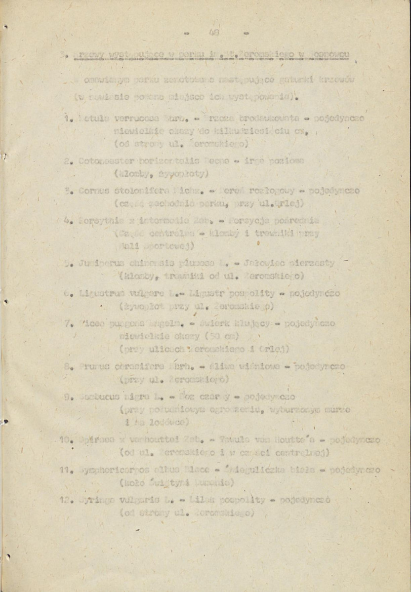 Ewidencja parkowa, skan nr 51