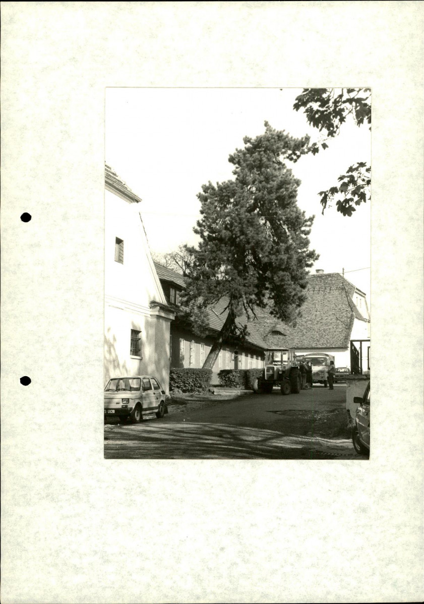 Ewidencja parkowa, skan nr 29