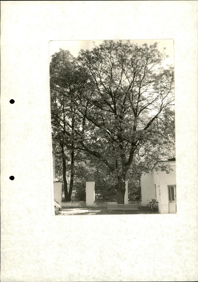 Ewidencja parkowa, skan nr 30