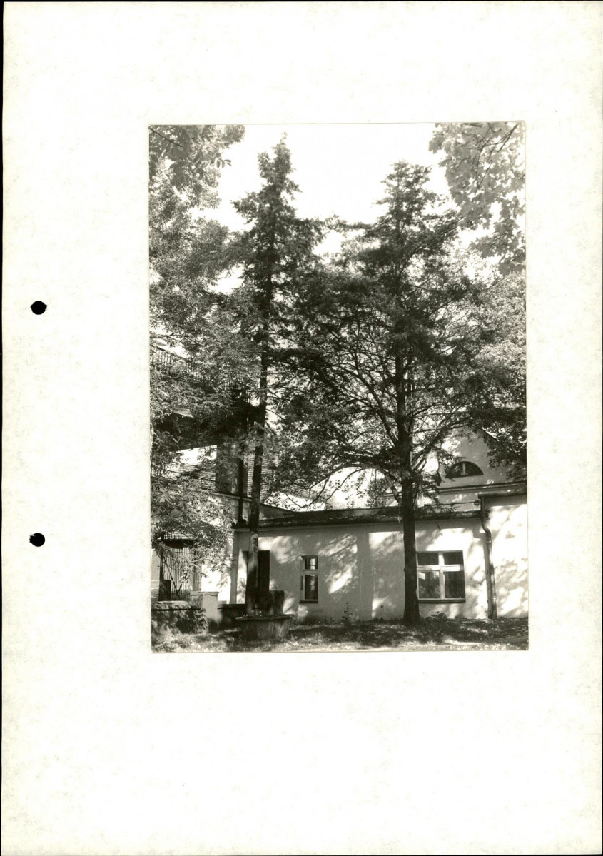 Ewidencja parkowa, skan nr 31