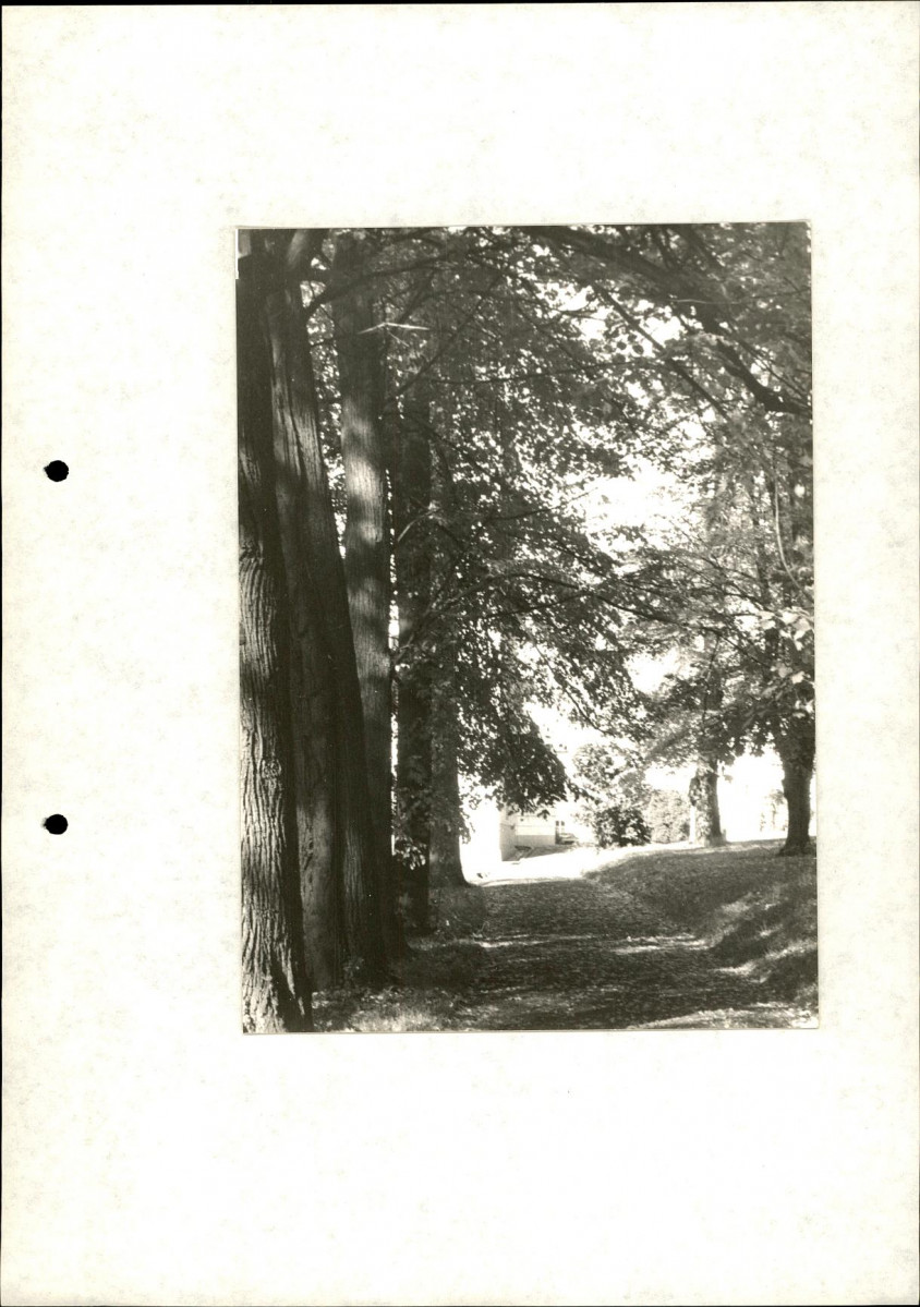 Ewidencja parkowa, skan nr 36