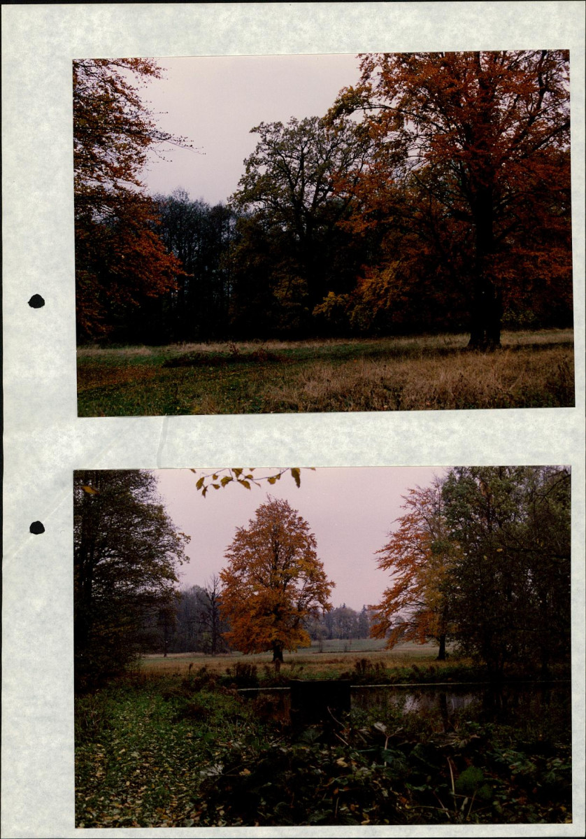 Ewidencja parkowa, skan nr 45