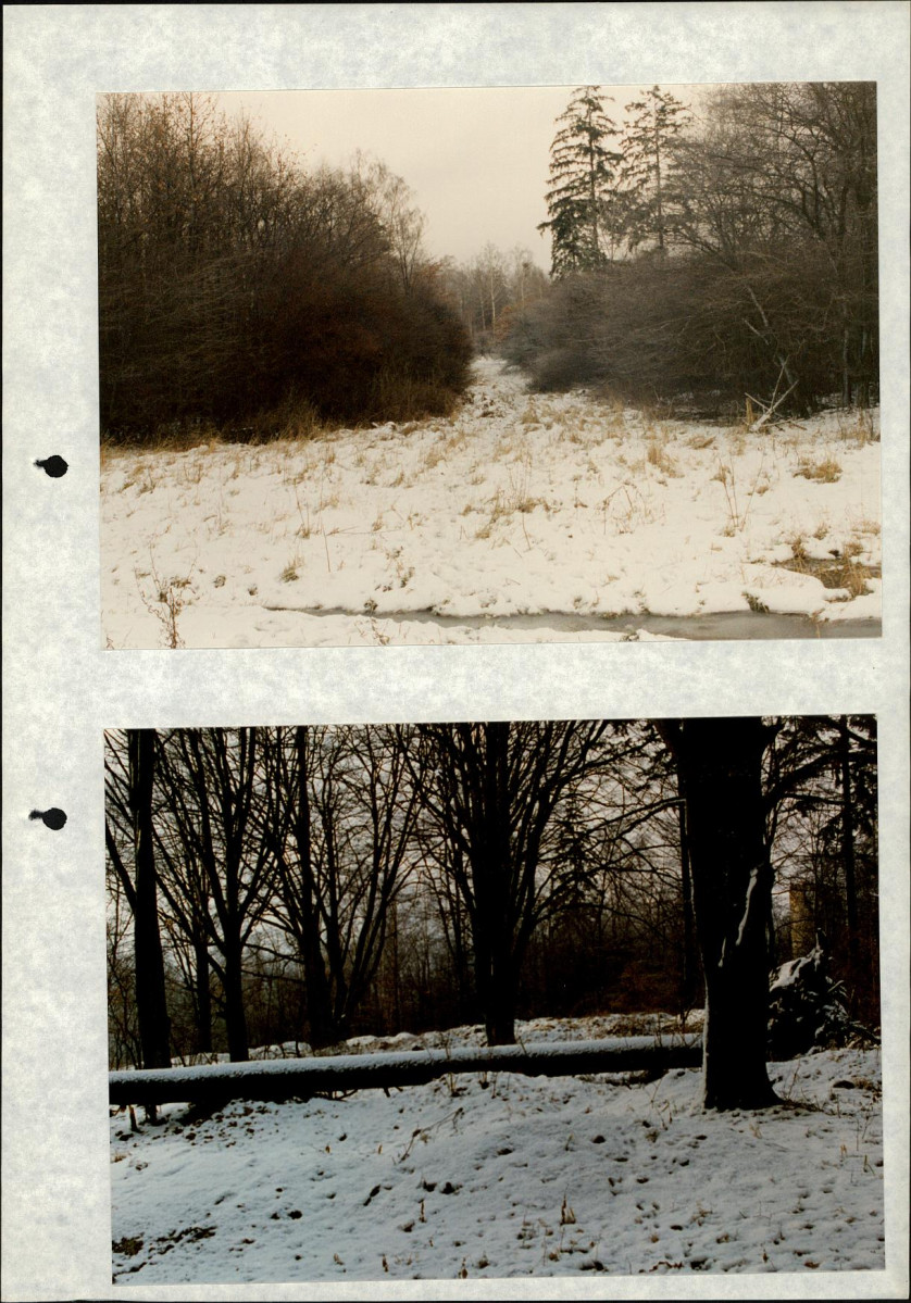 Ewidencja parkowa, skan nr 49