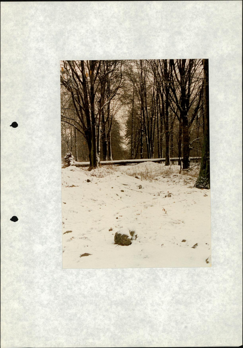 Ewidencja parkowa, skan nr 51