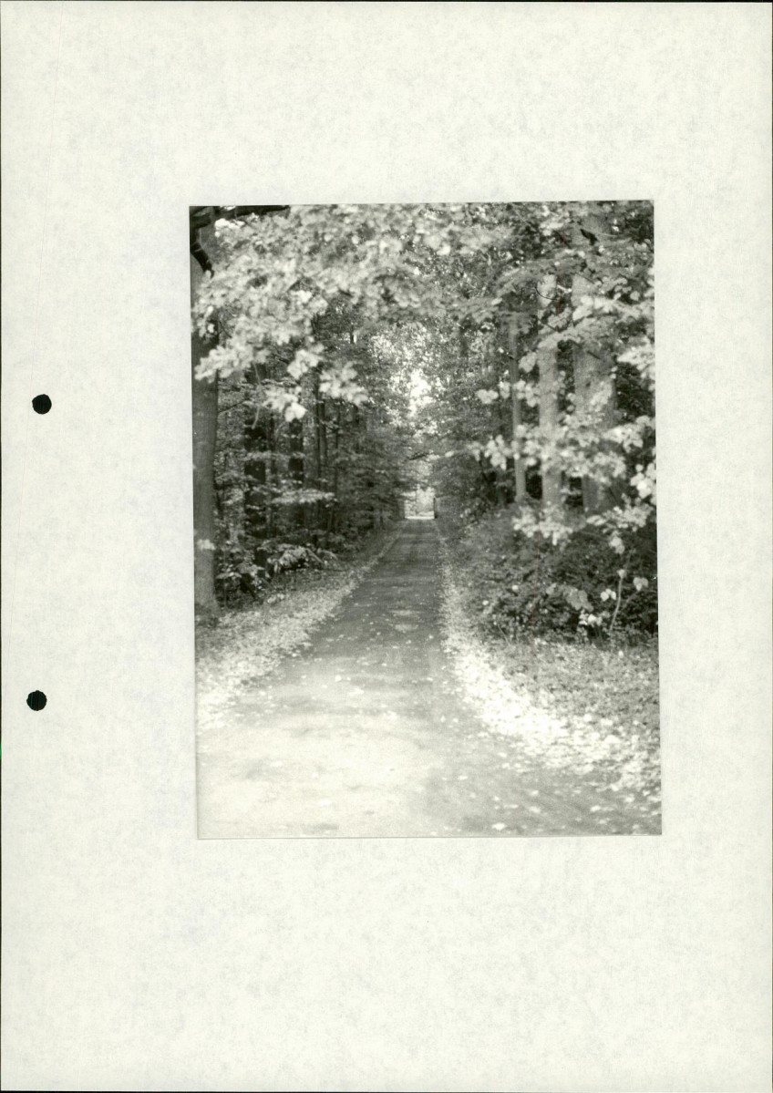 Ewidencja parkowa, skan nr 21