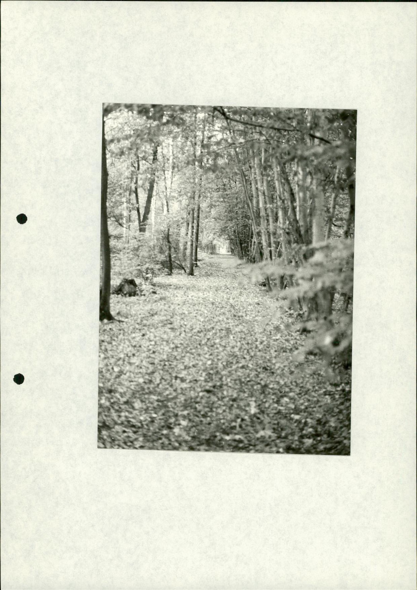Ewidencja parkowa, skan nr 23