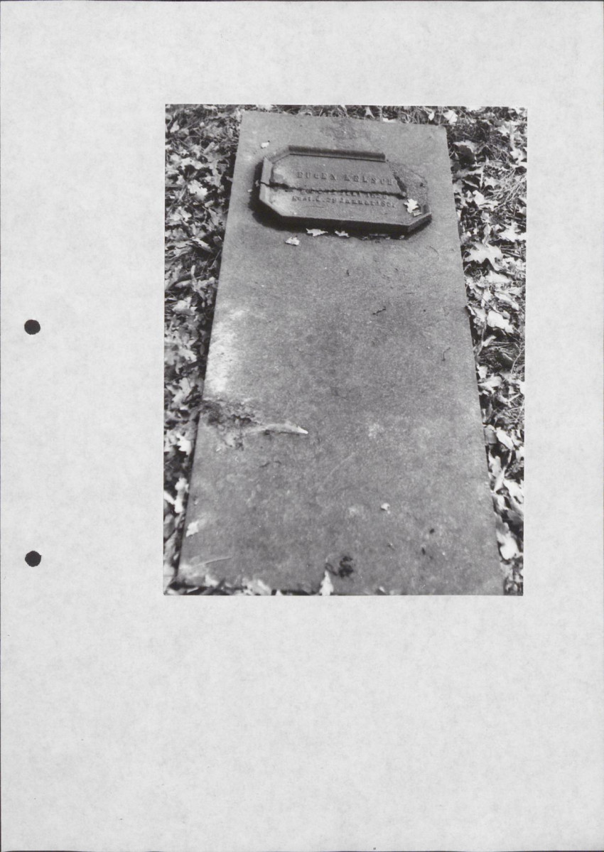 Ewidencja parkowa, skan nr 26