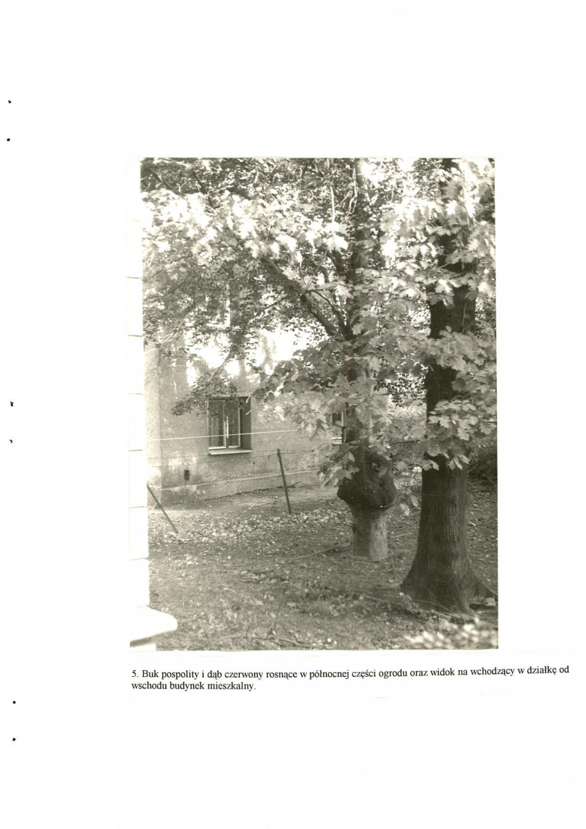 Ewidencja parkowa, skan nr 26