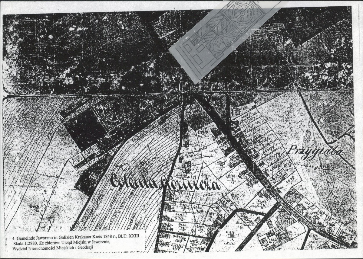 EP - Ewidencja parkowa, skan nr 19