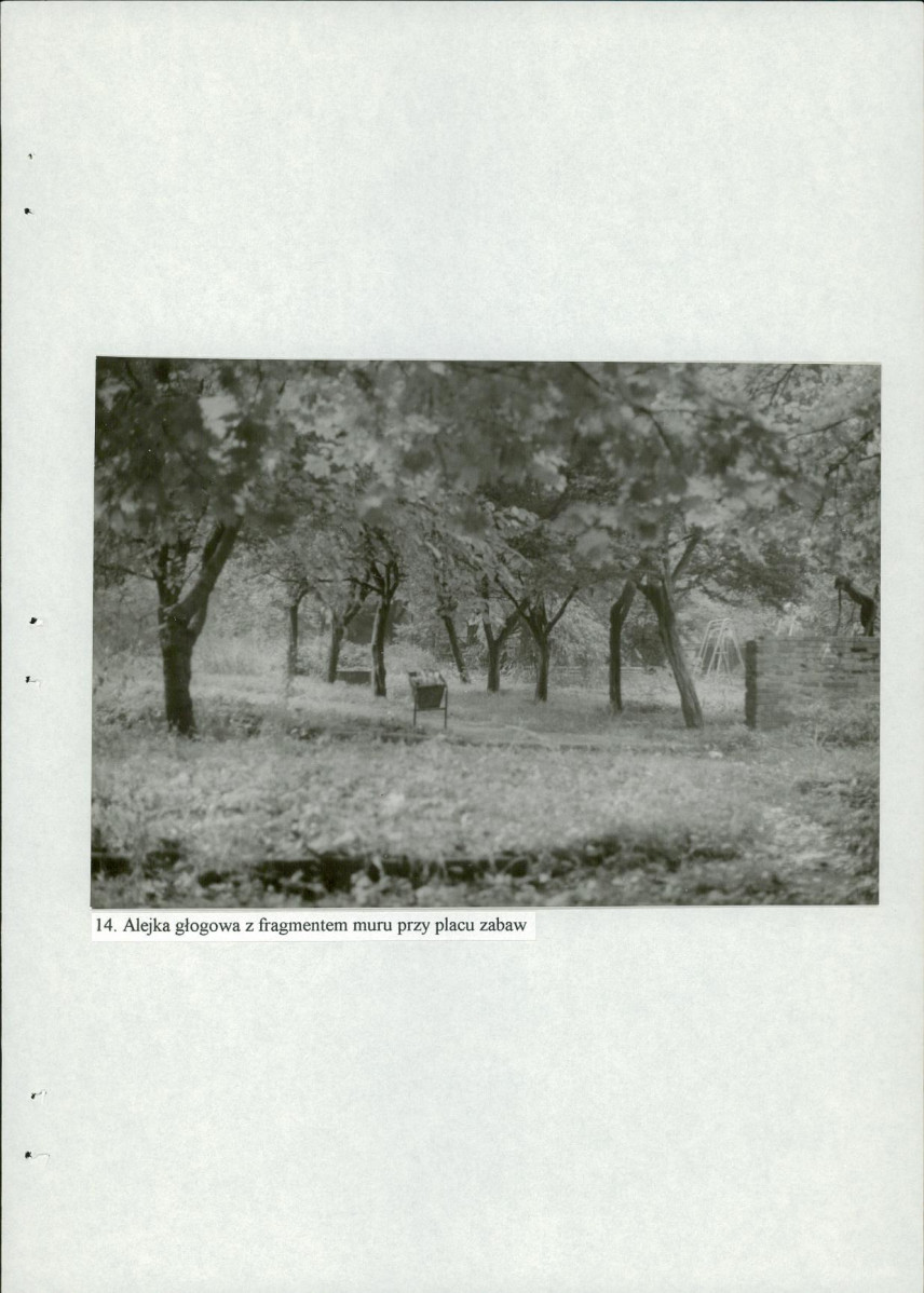 EP - Ewidencja parkowa, skan nr 52