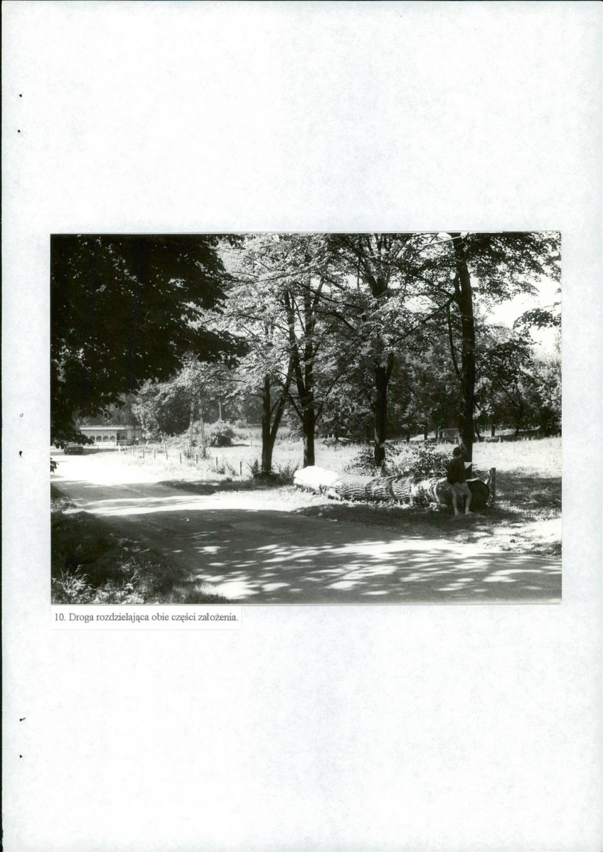 EP - Ewidencja parkowa, skan nr 40