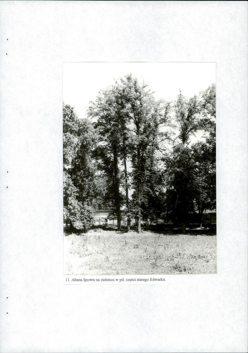 EP - Ewidencja parkowa, skan nr 41
