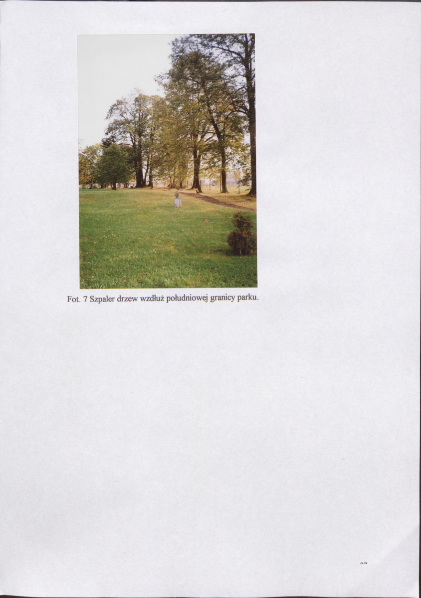 EP - Ewidencja parkowa, skan nr 32