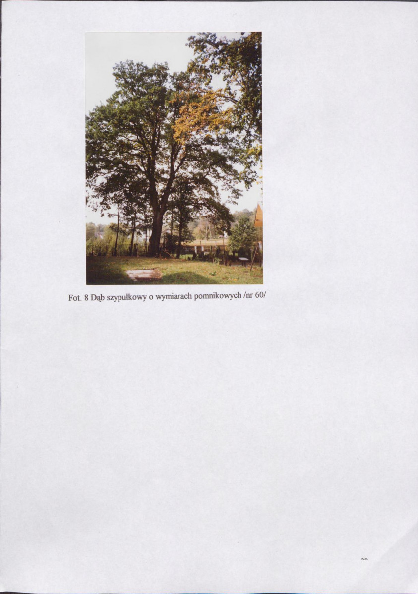 EP - Ewidencja parkowa, skan nr 33