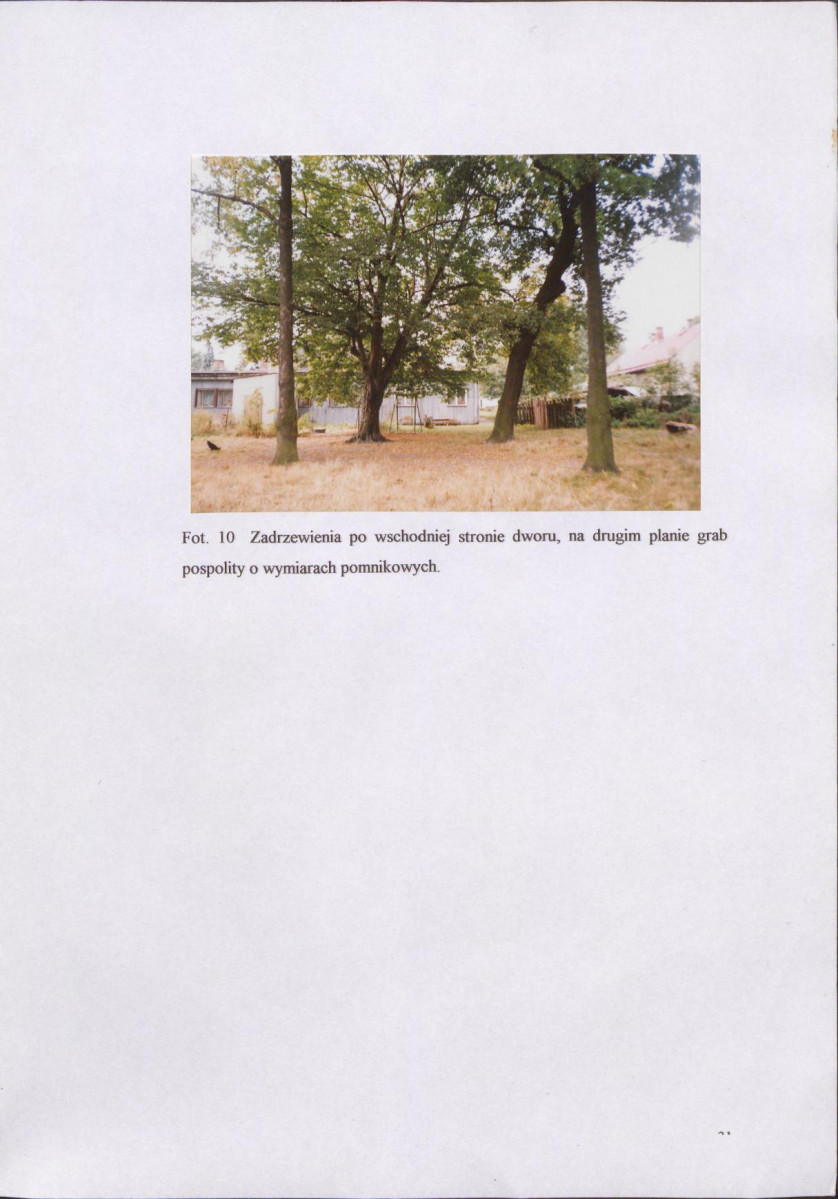 EP - Ewidencja parkowa, skan nr 37