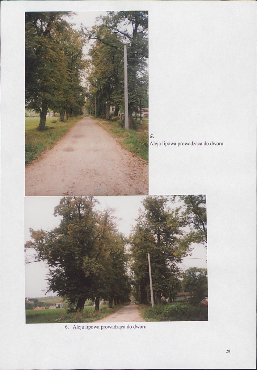 EP - Ewidencja parkowa, skan nr 34