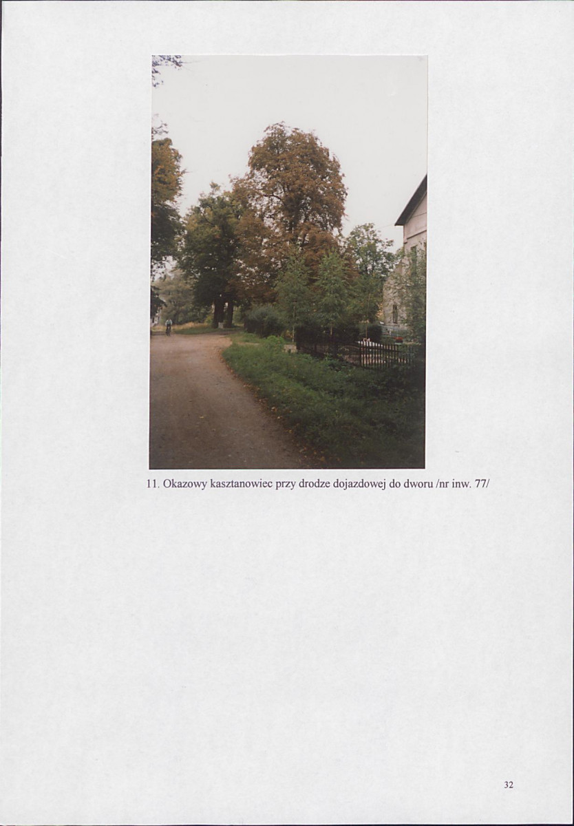 EP - Ewidencja parkowa, skan nr 38
