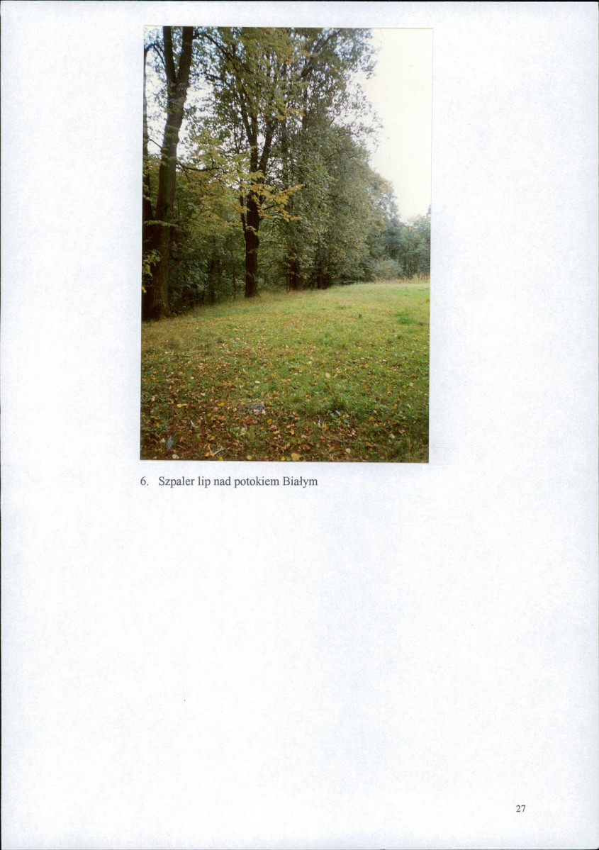 EP - Ewidencja parkowa, skan nr 30