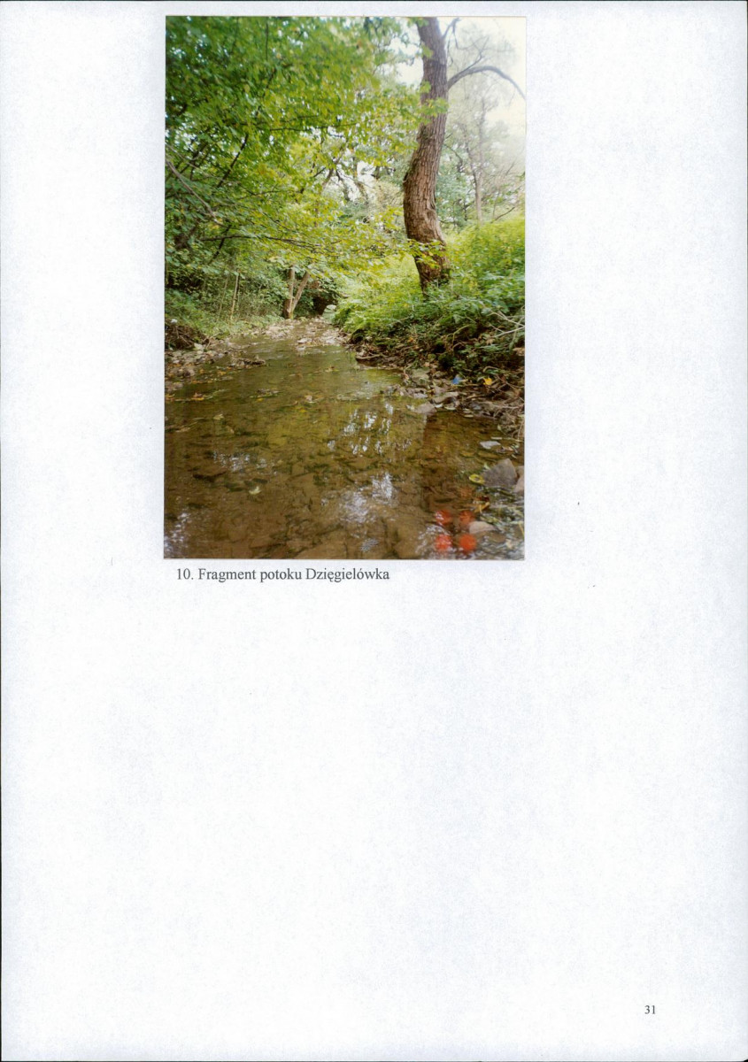 EP - Ewidencja parkowa, skan nr 34