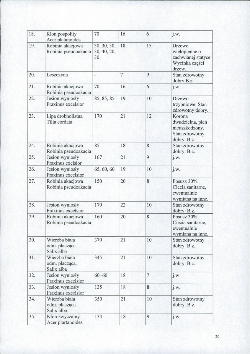 EP - Ewidencja parkowa, skan nr 21