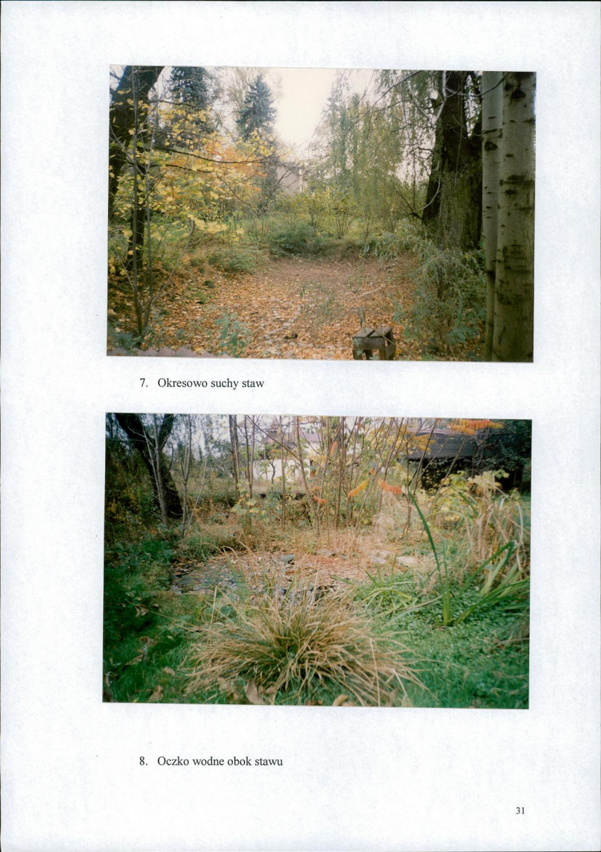 EP - Ewidencja parkowa, skan nr 35