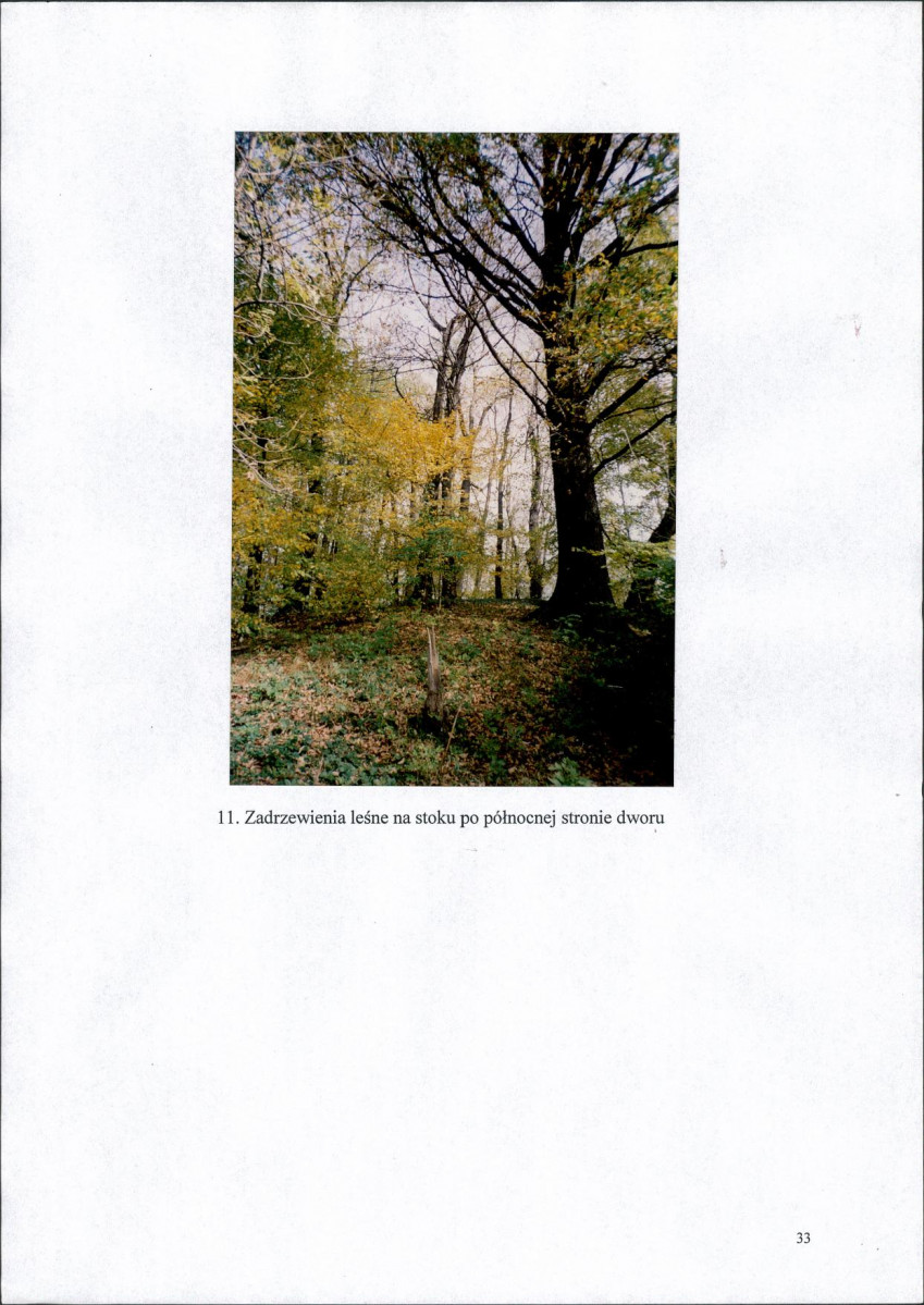 EP - Ewidencja parkowa, skan nr 37