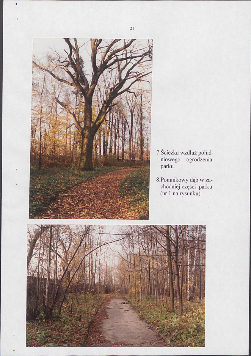 EP - Ewidencja parkowa, skan nr 27