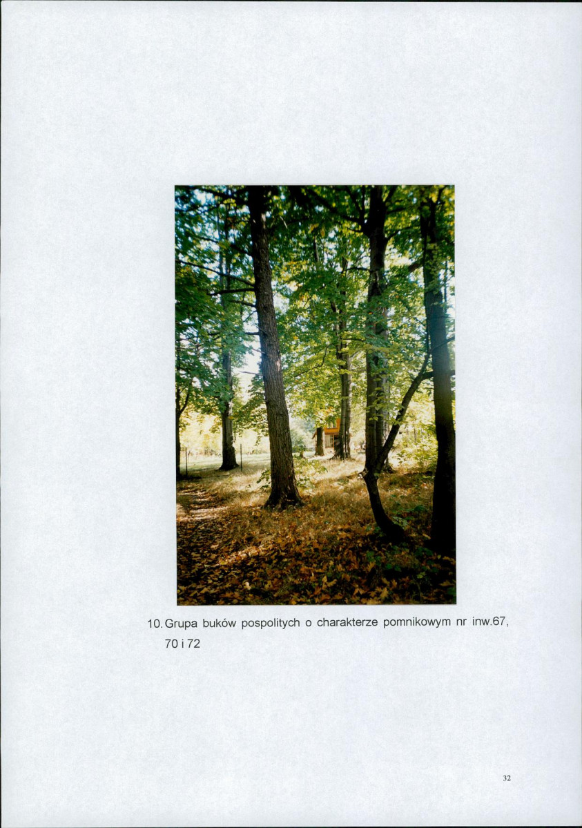 Ewidencja parkowa, skan nr 34