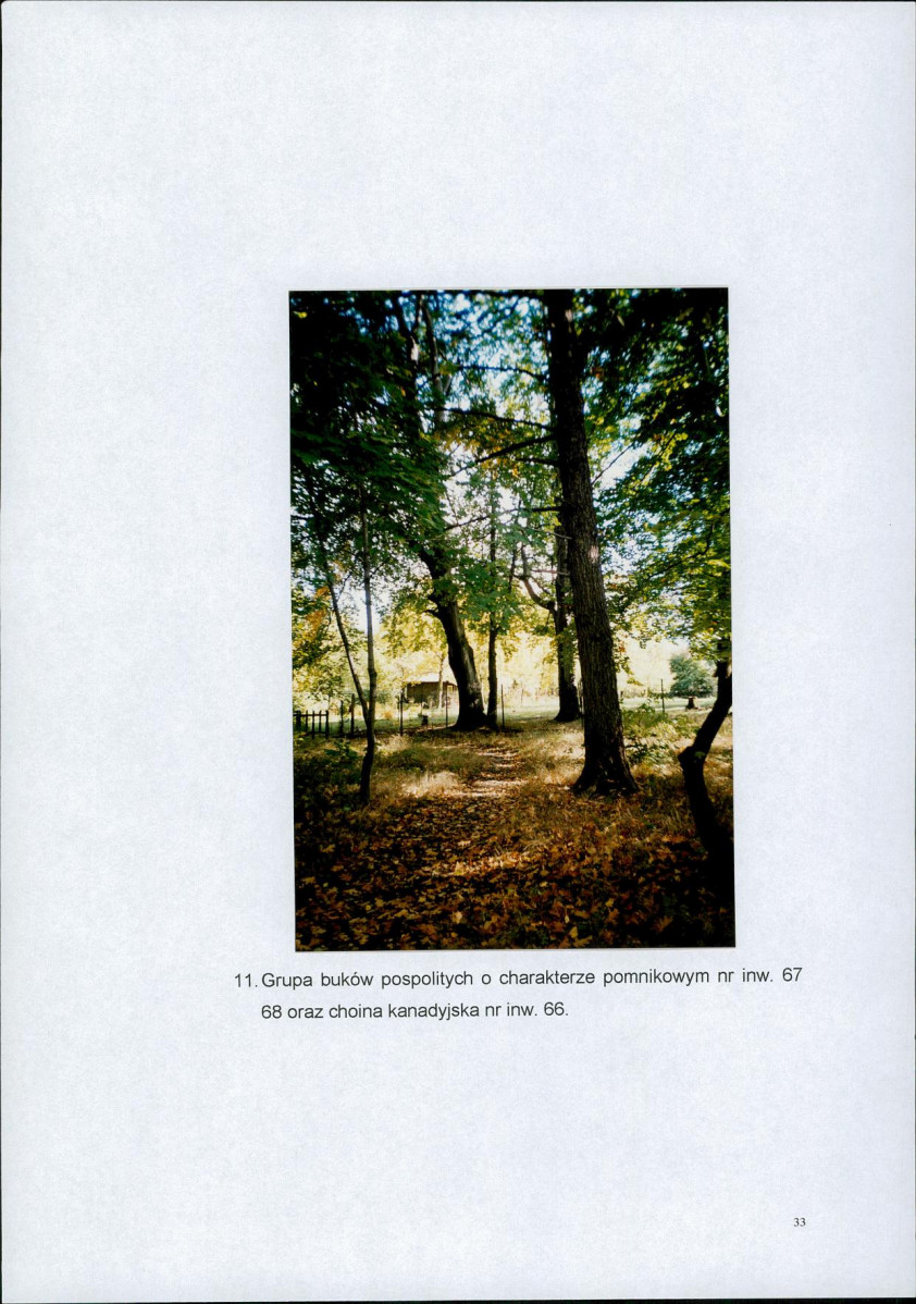Ewidencja parkowa, skan nr 35