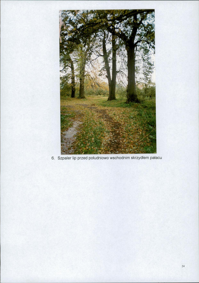 EP - Ewidencja parkowa, skan nr 25