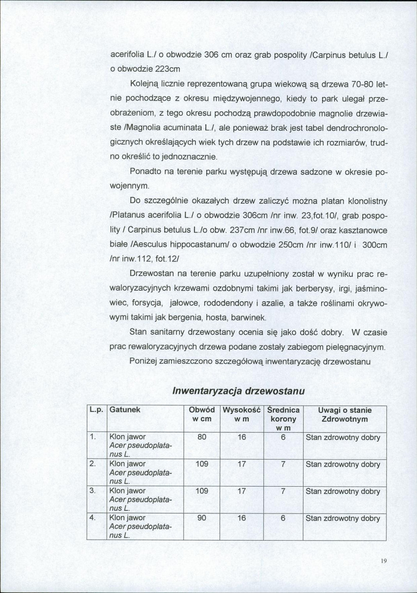 Ewidencja parkowa, skan nr 19