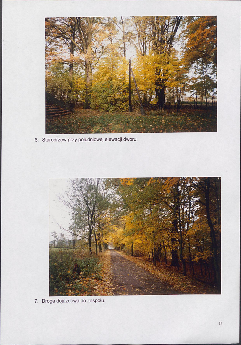 EP - Ewidencja parkowa, skan nr 26