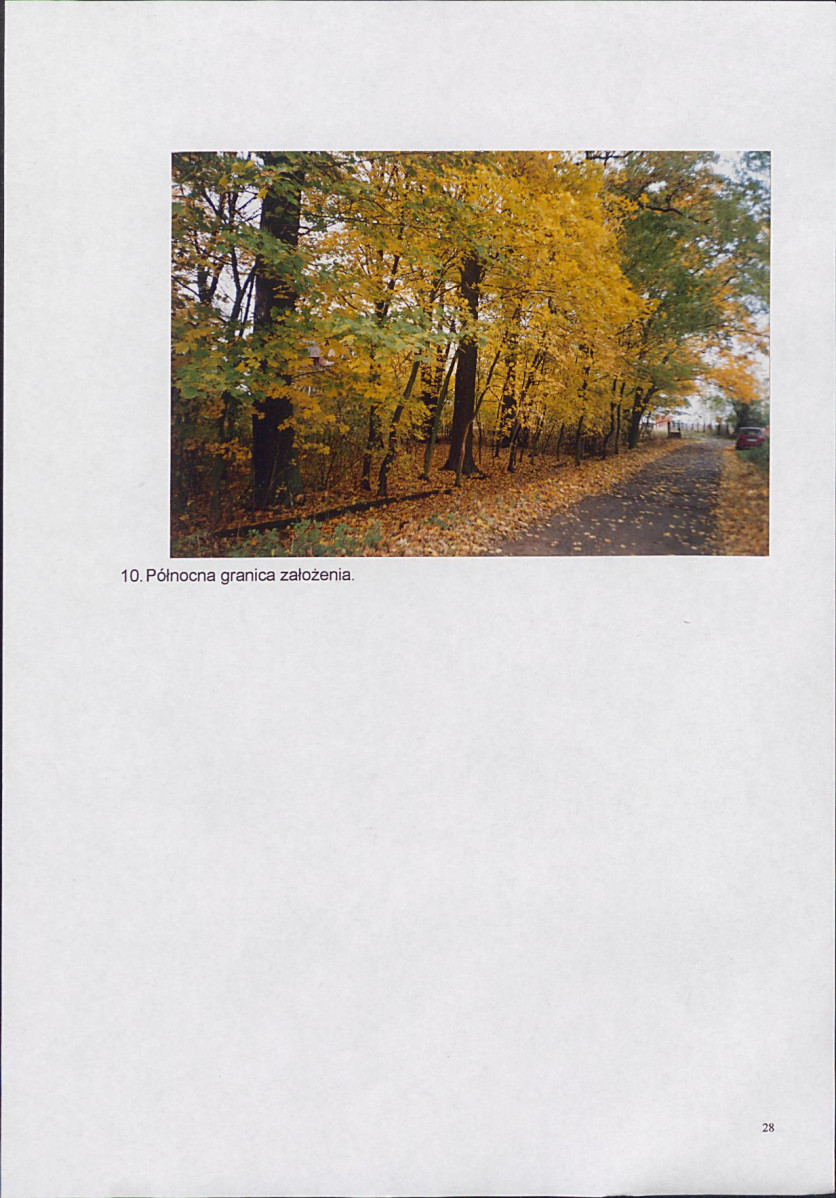 EP - Ewidencja parkowa, skan nr 29