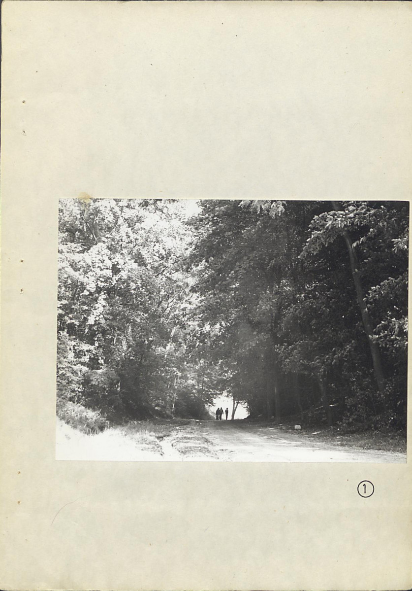 Ewidencja parkowa, skan nr 29