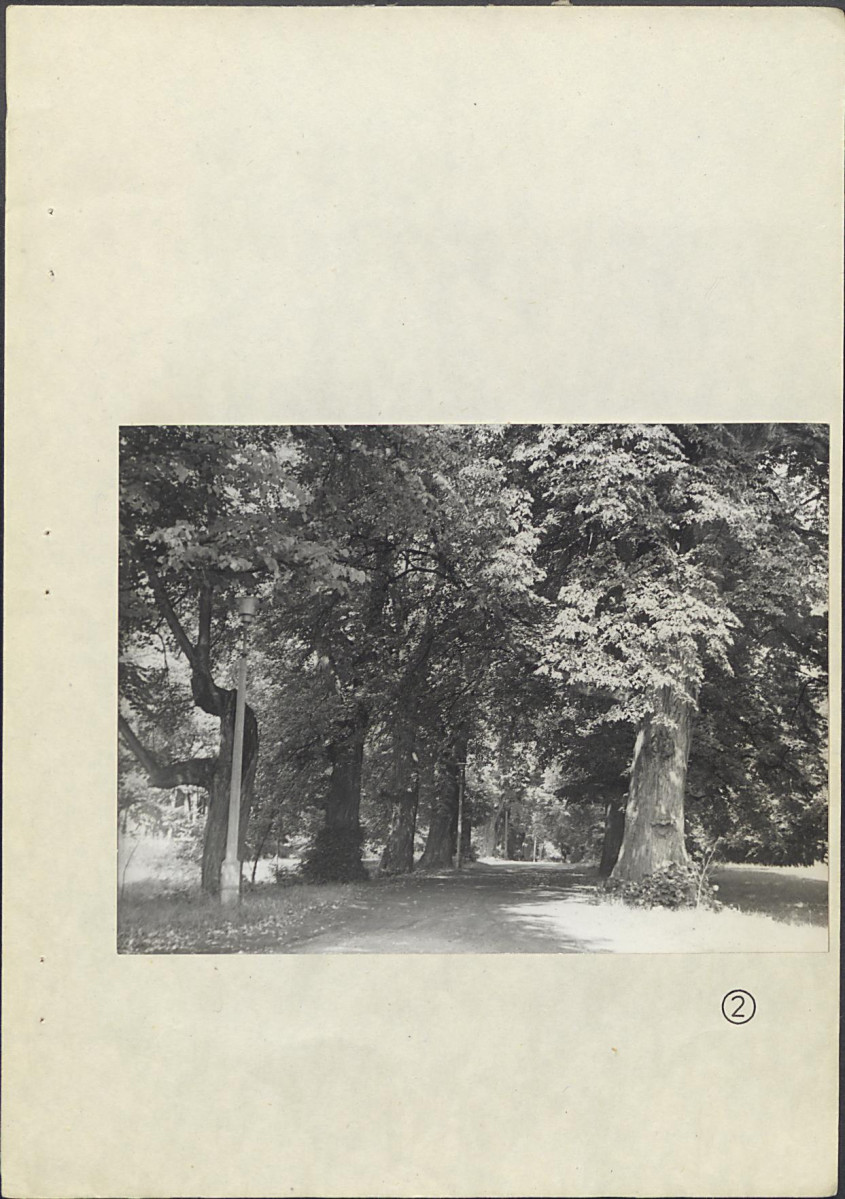 Ewidencja parkowa, skan nr 30