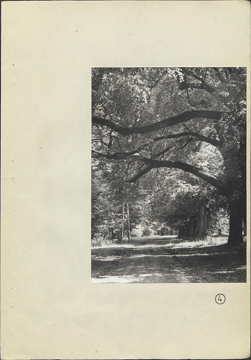 Ewidencja parkowa, skan nr 32